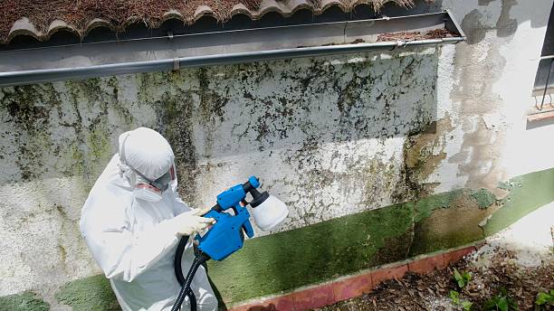 Top rated local Commercial Mold Remediation specialists in Newburg, MD